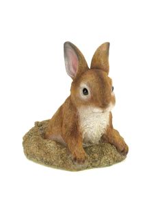 CURIOUS BUNNY GARDEN DECOR